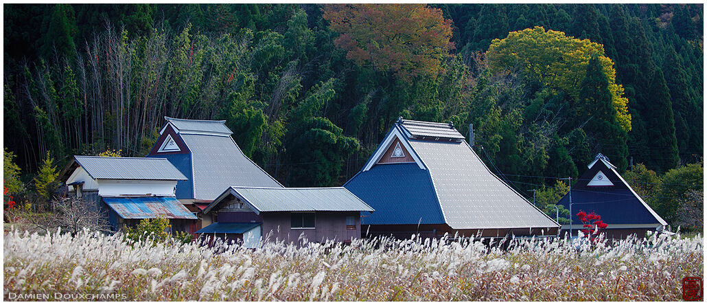 Traditional roof lines of countryside farms, Shiga, Japan