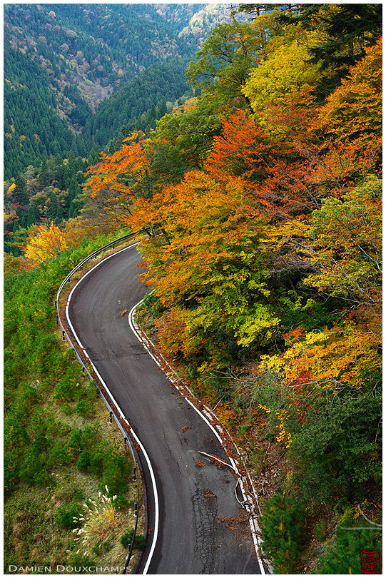Autumn colours and winding mountain road in the deep countryside of Shiga prefecture, Japan