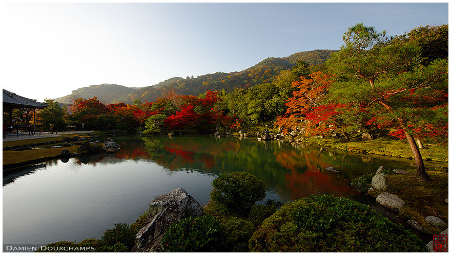 Sunrise lighting up the autumn colours around Tenryu-ji temple's large pond, Kyoto, Japan