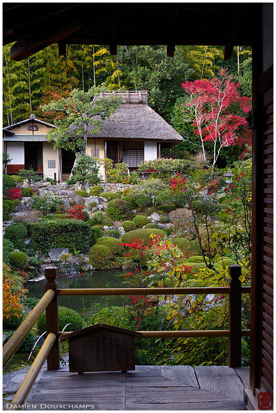 Touches of autumn colours around the tea house of Toji-in temple, Kyoto, Japan