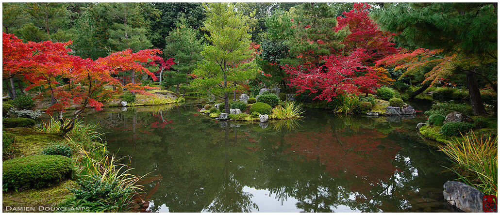 Autumn colours over the pond garden of Toji-in temple, Kyoto, Japan