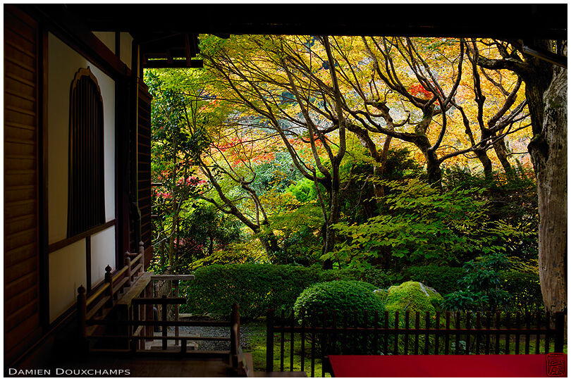 Early autumn colours in Jakko-in temple, Kyoto