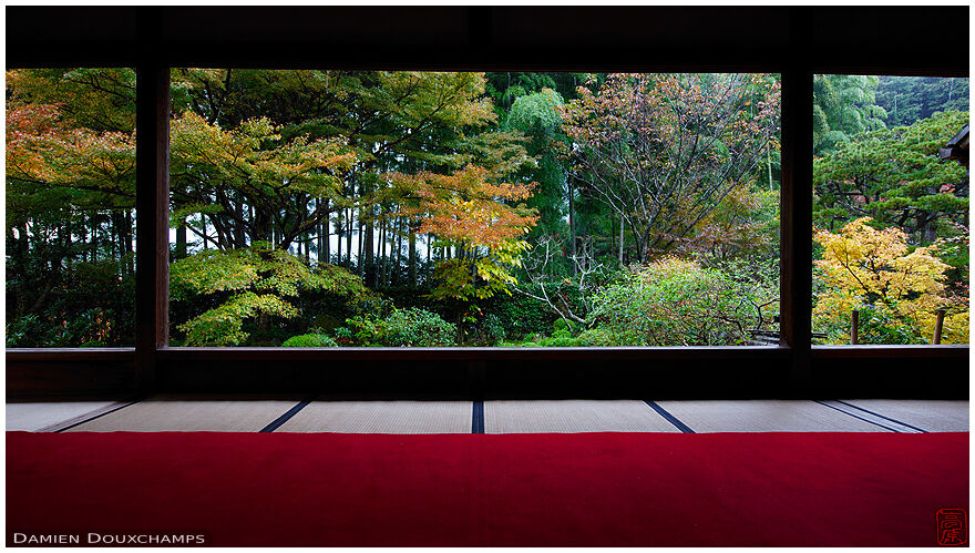 Autumn in Hosen-in temple, Ohara valley, Kyoto
