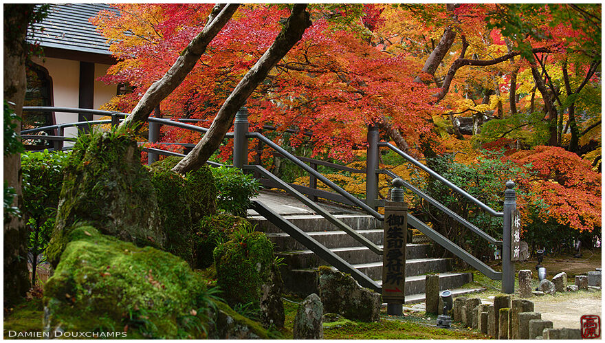 Bridge and autumn colors, Eigen-ji temple, Shiga, Japan