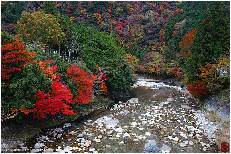 River and autumn colors in Shiga prefecture, Japan