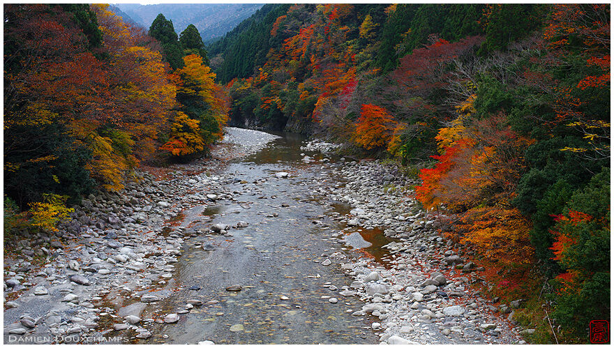 River and autumn colors in the mountains of Shiga prefecture, Japan