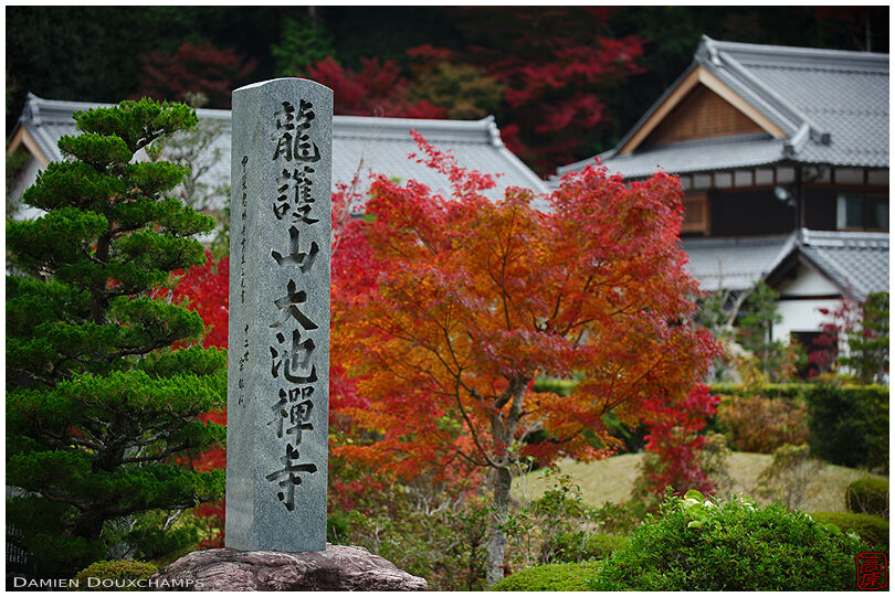 Stone with temple name during autumn in Daichi-ji temple, Shiga, Japan