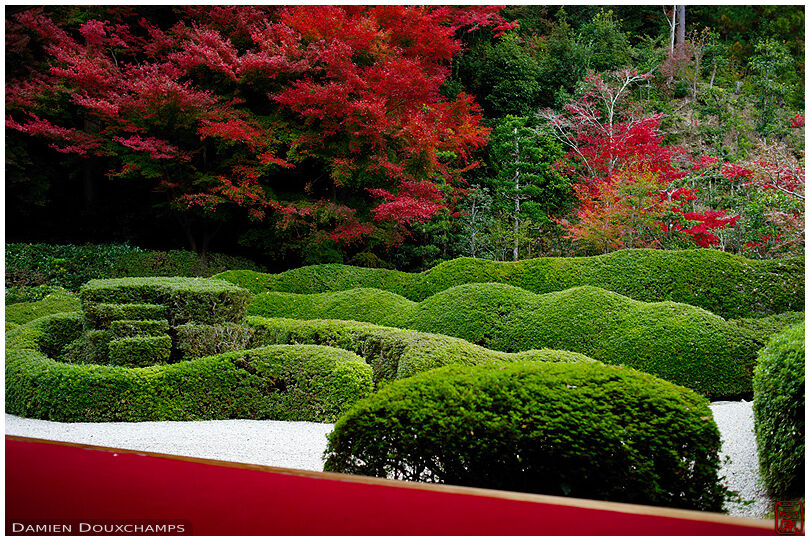 Autumn colours over the azalea garden of Daichi-ji temple, Shiga, Japan