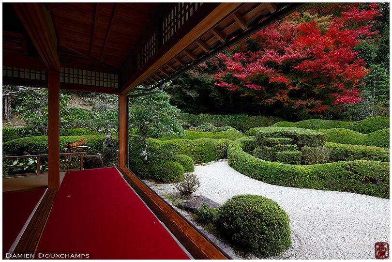 The peaceful azalea garden of Daichi-ji temple in autumn, Shiga, Japan