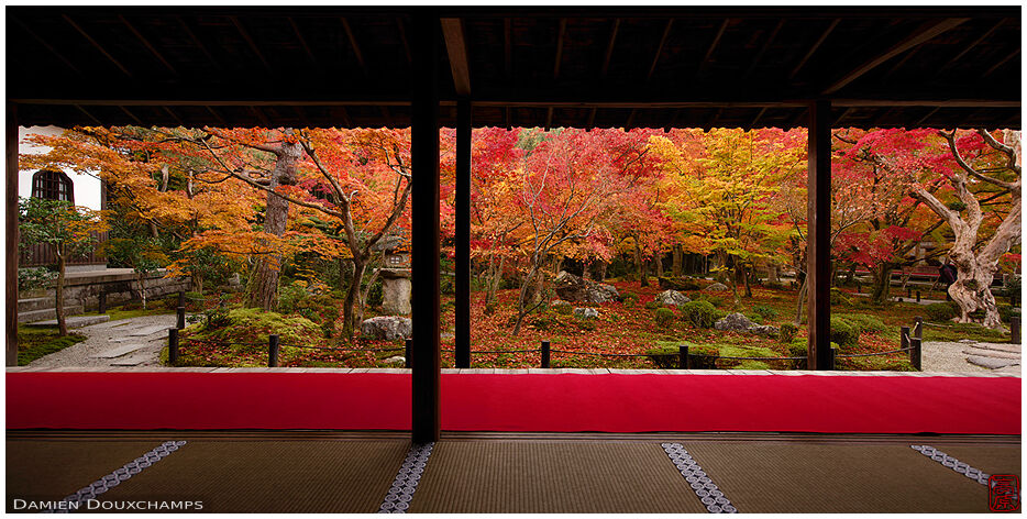 The main hall of Enko-ji temple and its amazing autumn colors, Kyoto, Japan