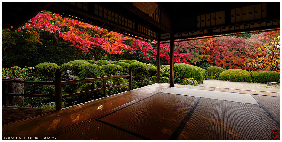 Bright red autumn colours surrounding the main hall of Shisendo temple, Kyoto, Japan