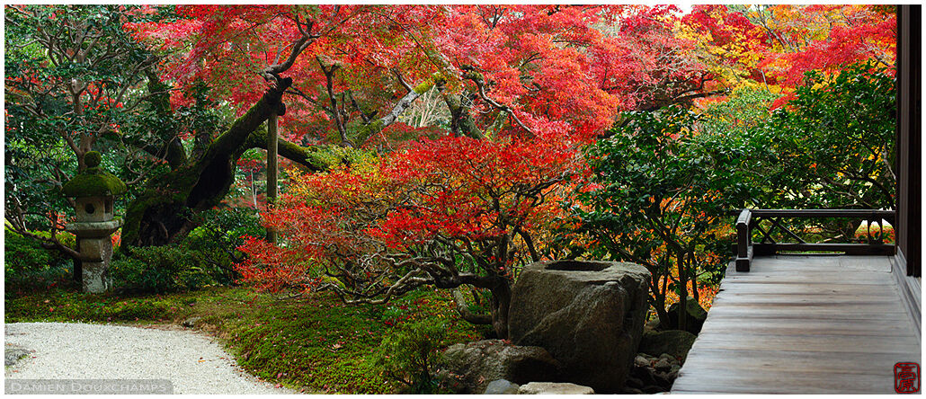 Autumn colours around the terrace of a pavilion in the Shugakuin imperial villa gardens, Kyoto, Japan