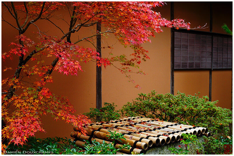 Bamboo well cover under red autumn foliage, Shugakuin imperial villa, Kyoto, Japan