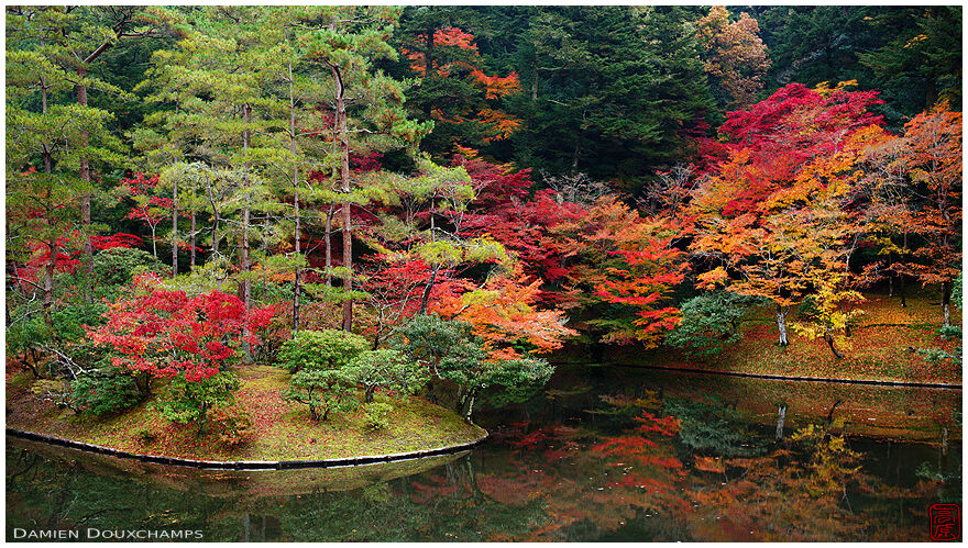 Autumn colours in the upper pond garden of the Shugakuin imperial villa, Kyoto, Japan