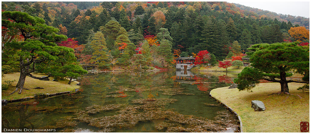 Autumn colours around the pond of the Shugakuin imperial villa, Kyoto, Japan