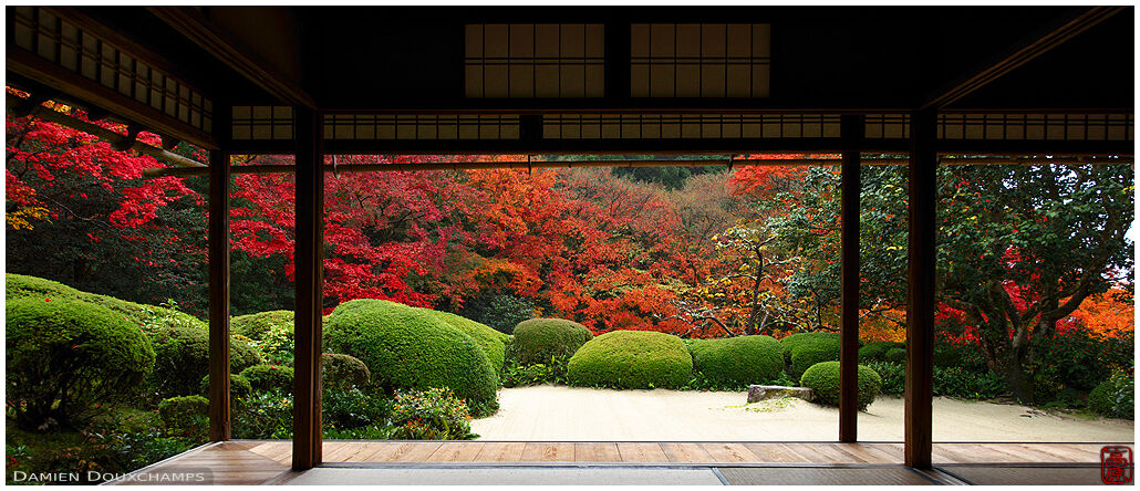 Shisendo temple hall and its garden with perfect autumn foliage, Kyoto, Japan