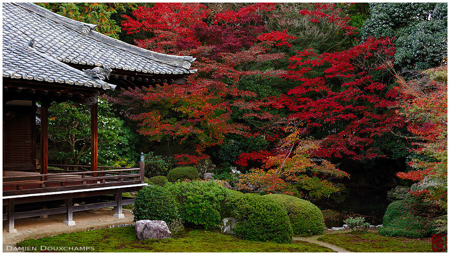 Autumn in Zuishin-in temple garden, Kyoto
