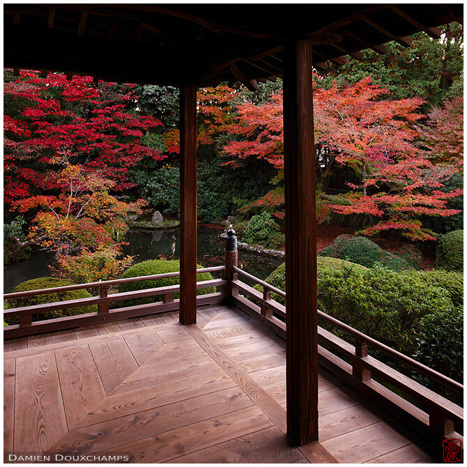 Quiet autumn mood and colors in Zuishin-in temple, Kyoto, Japan
