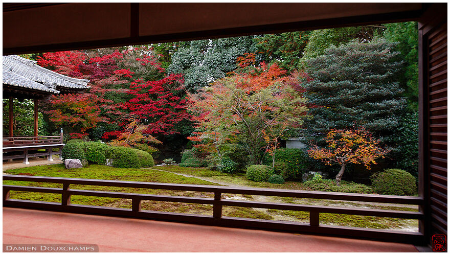 A view of Zuishin-in temple garden in autumn, Kyoto
