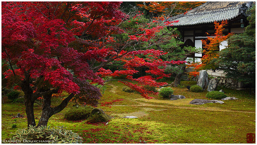 Moss garden in Rokuo-in temple, Kyoto