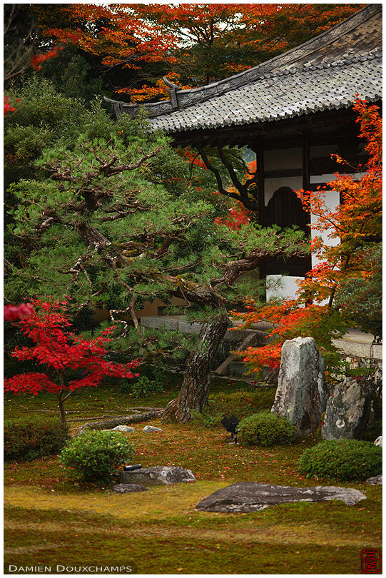 Kyoto Photography