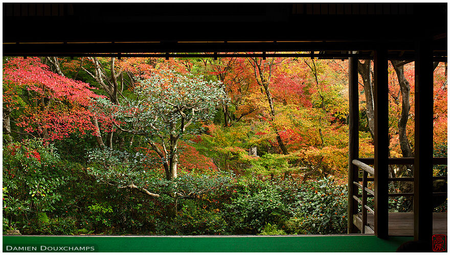 Balcony overlooking a maple grove in Jikishi-an temple, Kyoto