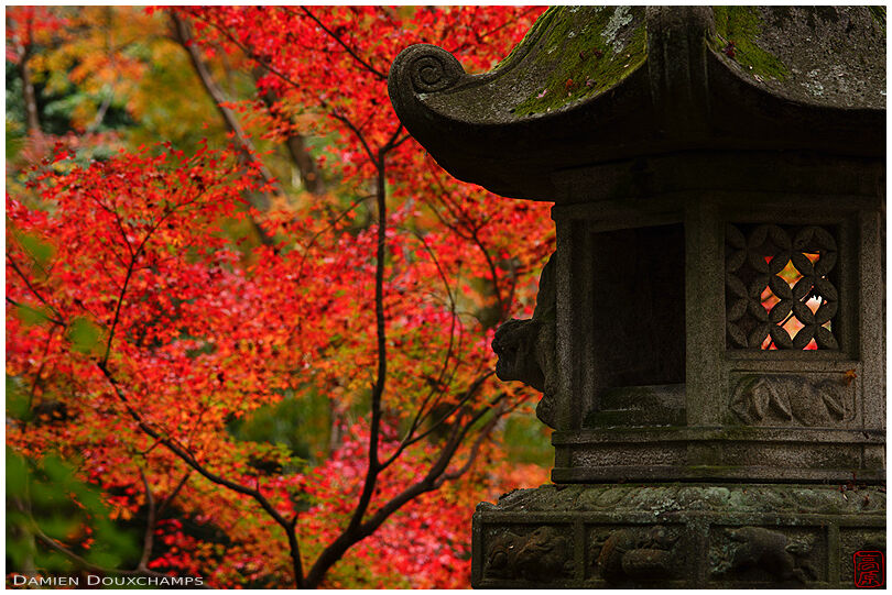 Stone lantern among red autumn foliage in Jikishi-an temple, Kyoto, Japan