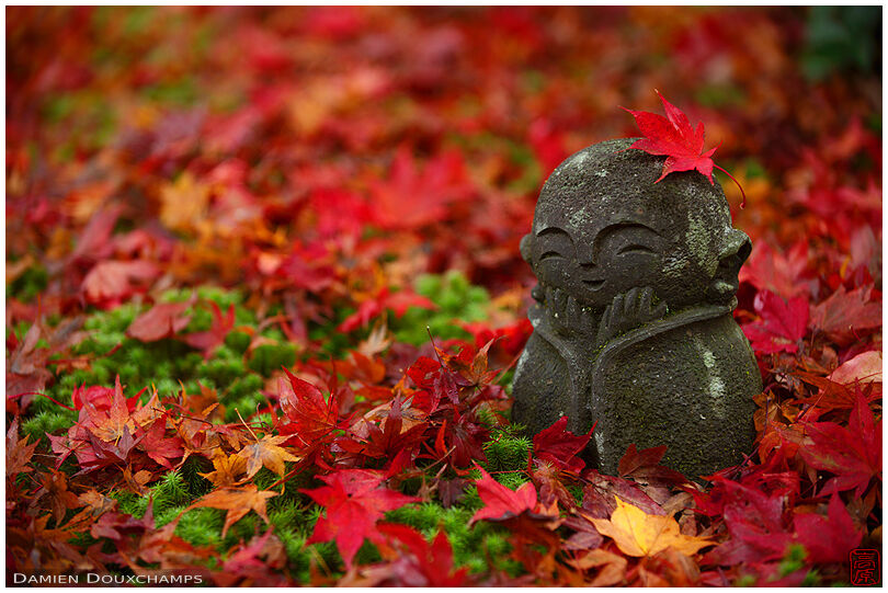 Little jizo statue among moss and fallen maple leaves, Enko-ji temple, Kyoto