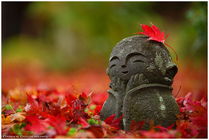 Little jizo statue among fallen maple leaves, Enko-ji temple, Kyoto