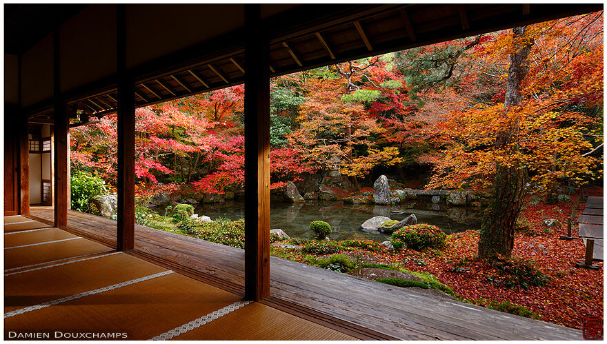 Late autumn in Renge-ji temple pond garden, Kyoto