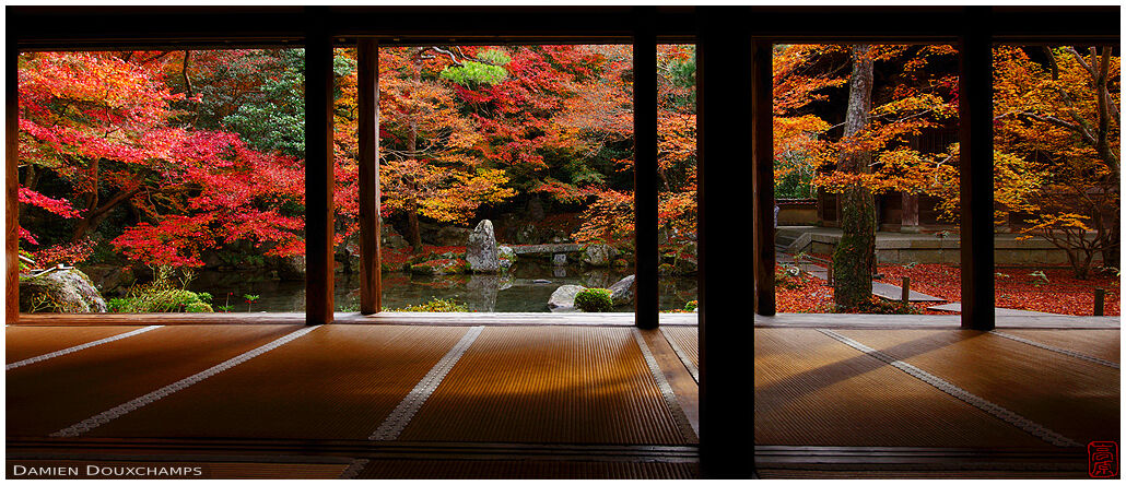 Morning light and late autumn colours in the hall of Renge-ji temple, Kyoto, Japan