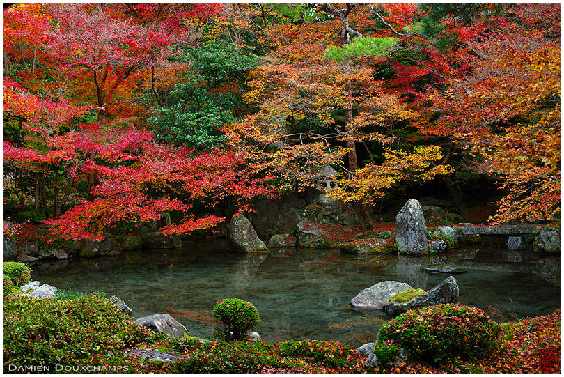 The pond of Renge-ji temple in autumn, Kyoto, Japan