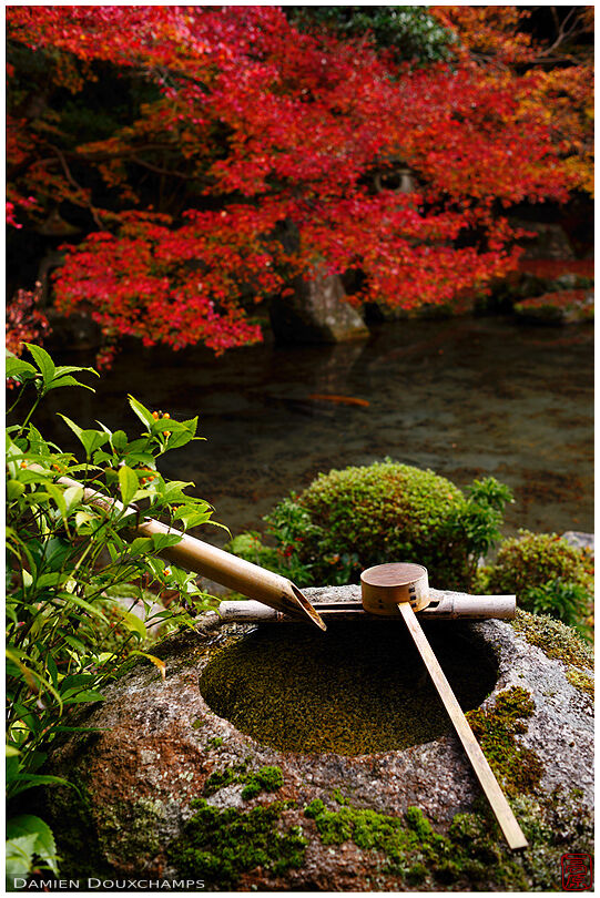 Tsukubai water basin in Renge-ji temple, Kyoto