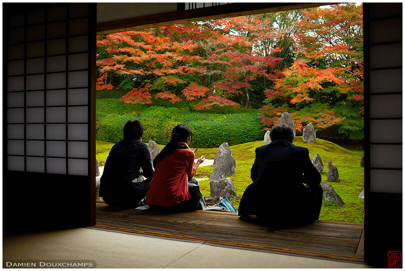 Visitors silently watching moss and rock garden, Komyo-in temple, Kyoto