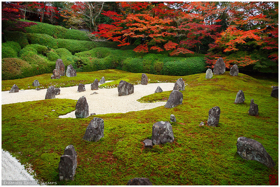 Komyo-in temple moss garden in autumn, Kyoto