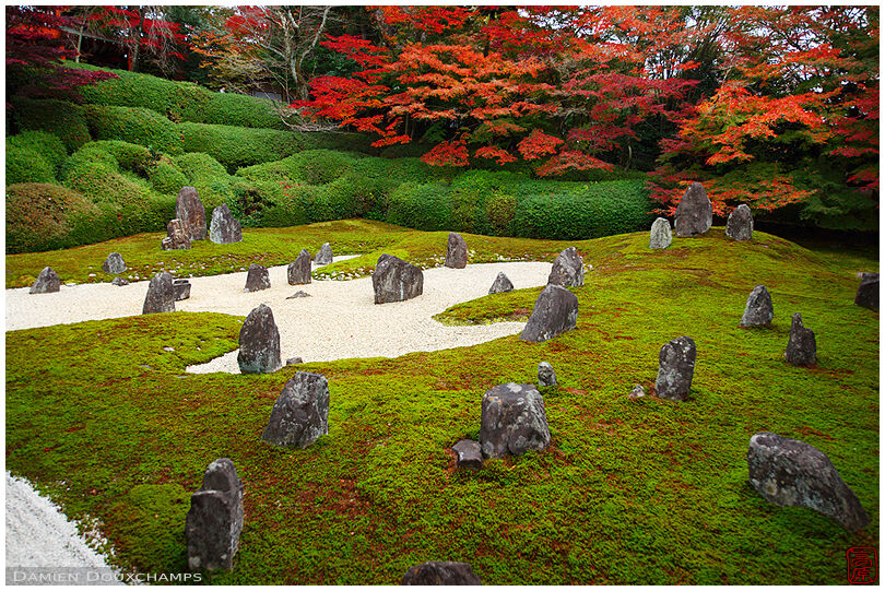Komyo-in temple moss garden in autumn, Kyoto