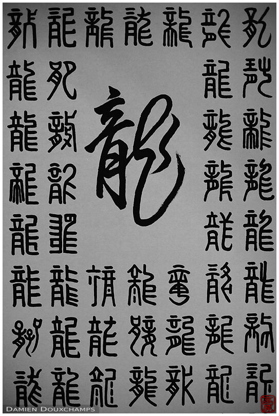 An exercise of calligraphy around the Japanese character for dragon, Kyoto, Japan