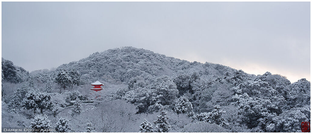 Little red pagoda lost in winter wonderland, Kyoto, Japan