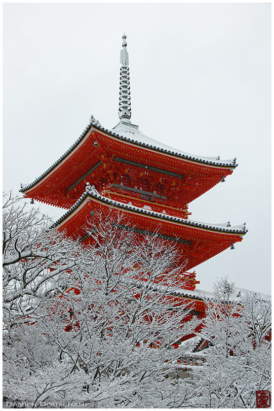 Kiyomizu-dera temple's pagoda hiding behind snow-covered trees, Kyoto, Japan