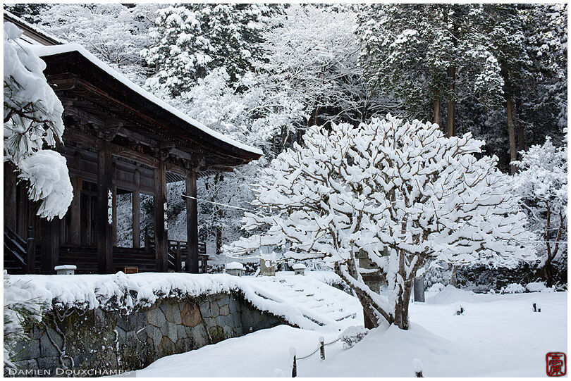 Winter in Shorin-in temple in the Ohara valley north of Kyoto, Japan
