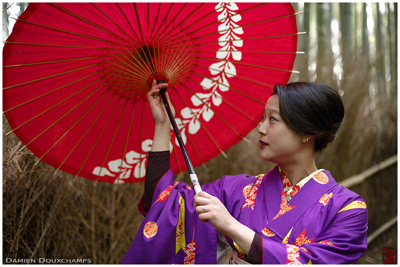 Woman with umbrella wearing kimono in the Arashiyama bamboo alley, Kyoto, Japan