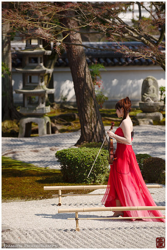 Violin player in red dress walking in Japanese garden, Chion-ji temple, Kyoto, Japan