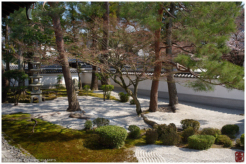 Dry landscape garden in pine forest, a rare combination in Chion-ji temple, Kyoto, Japan