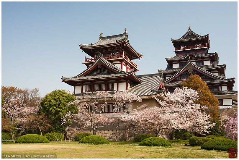Momoyama castle during cherry blossom season, Kyoto