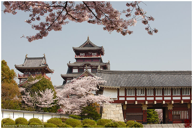 Momoyama castle during cherry blossom season, Kyoto