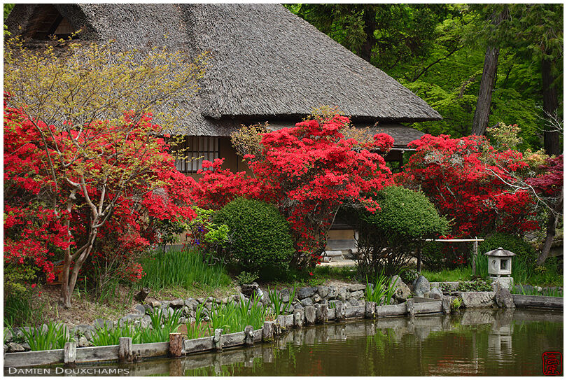 Tea house in Umenomiya shrine gardens, Kyoto