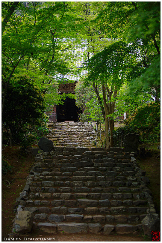 Stairs in green forest leading to Joju-ji temple, Kyoto, Japan