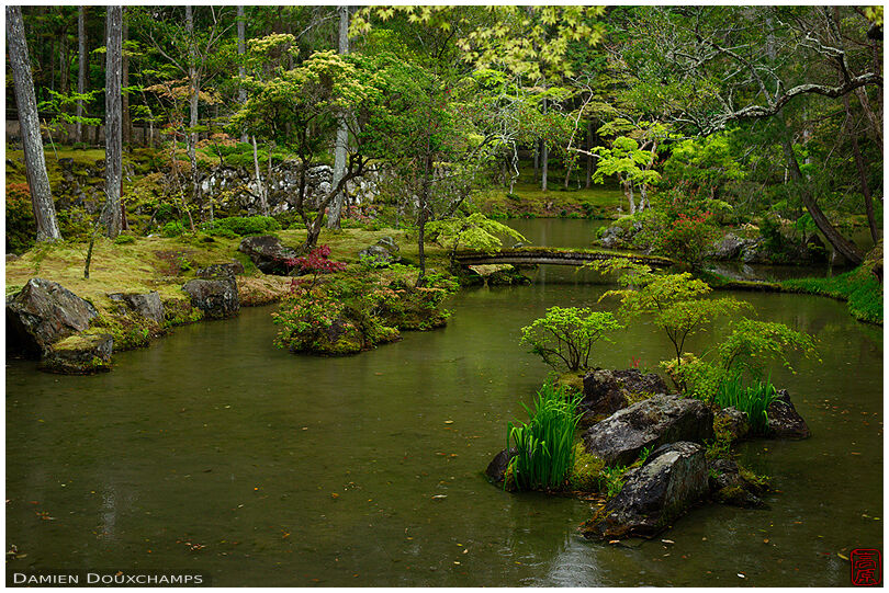 Pond in the moss garden of Saiho-ji temple, a UNESCO World Heritage site of Kyoto, Japan