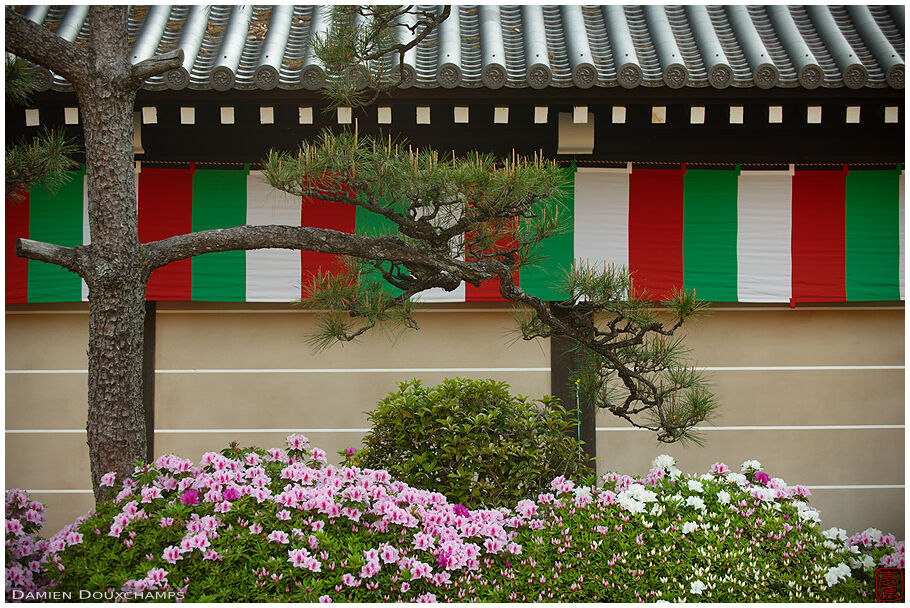 Nishi Hongan-ji (西本願寺)