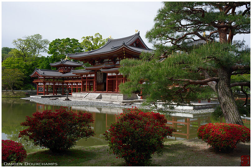 Byodo-in temple, Kyoto
